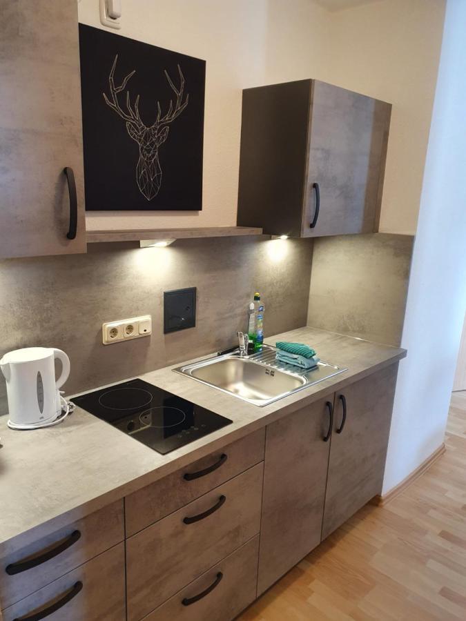 Apartments Und Bistro Zum Glasmacher Gehlberg Eksteriør bilde