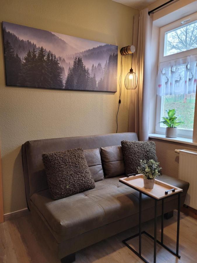 Apartments Und Bistro Zum Glasmacher Gehlberg Eksteriør bilde