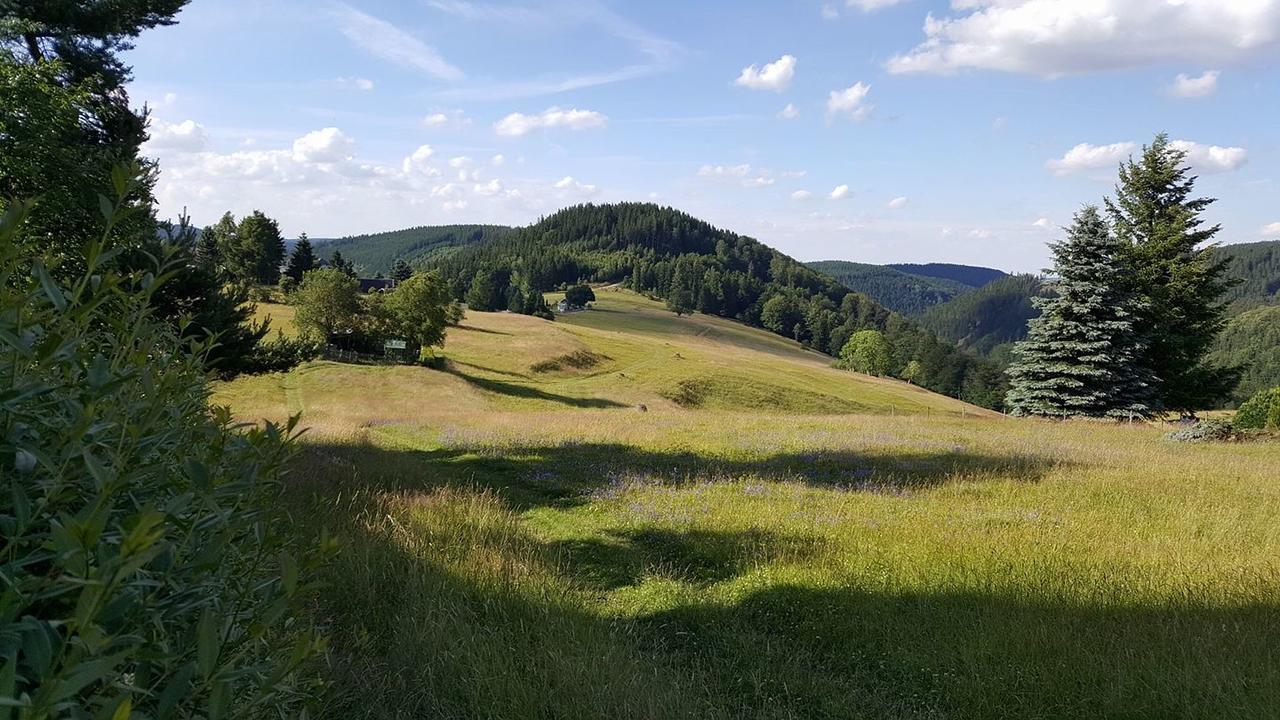Apartments Und Bistro Zum Glasmacher Gehlberg Eksteriør bilde